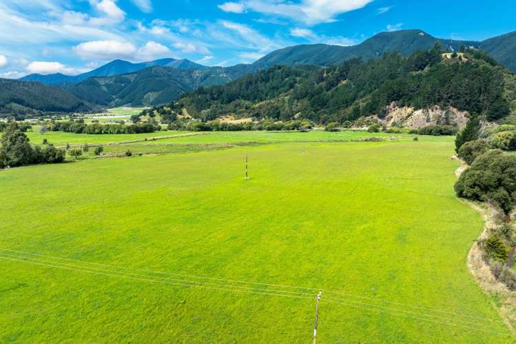 State Highway 1 Koromiko_8