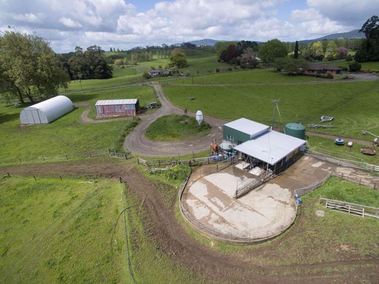 80 Paratu Road Richmond Downs_6