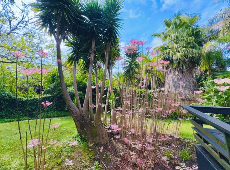 91 Waimauku Station Road Waimauku_19