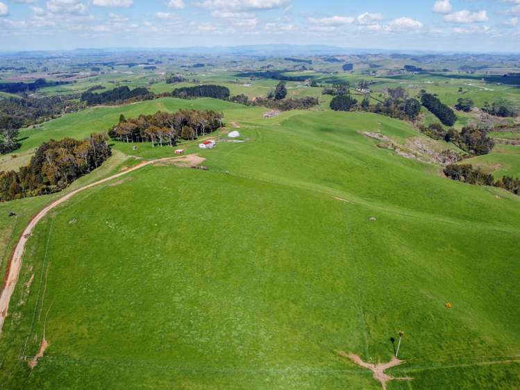 870 Mangati Road Pirongia_44