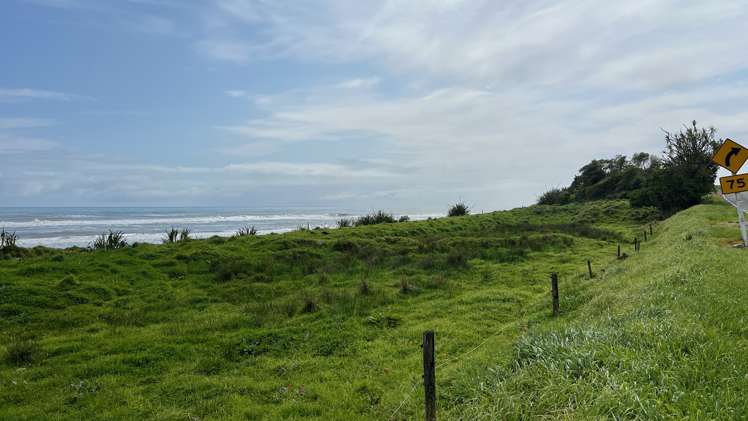 37 Nikau Road, State Highway 67 Hector_17