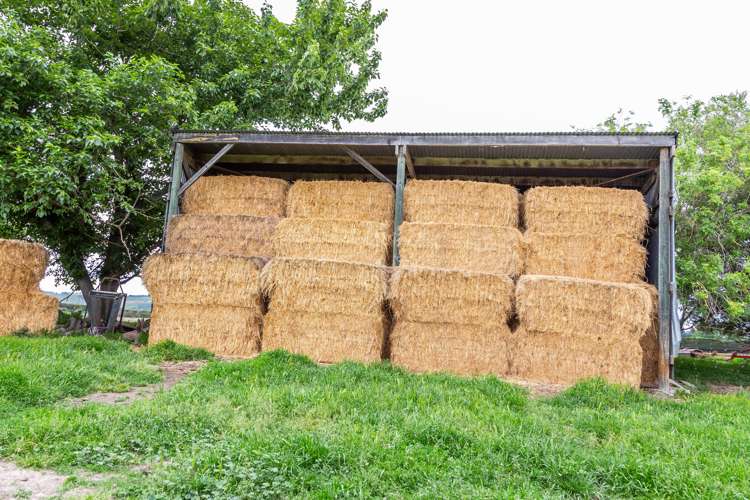 47 Hurunui Mouth Road Domett_23