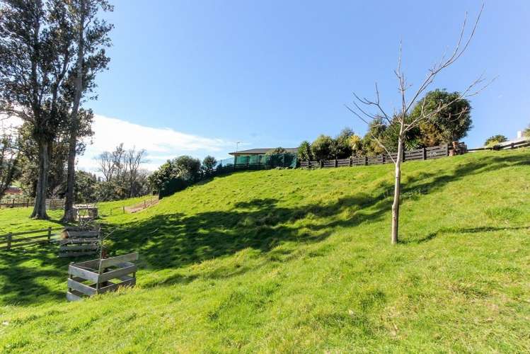 61c Karamea Street Whalers Gate_15