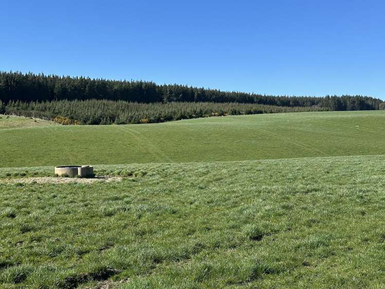 142 Endowment Road Winton Surrounds_10