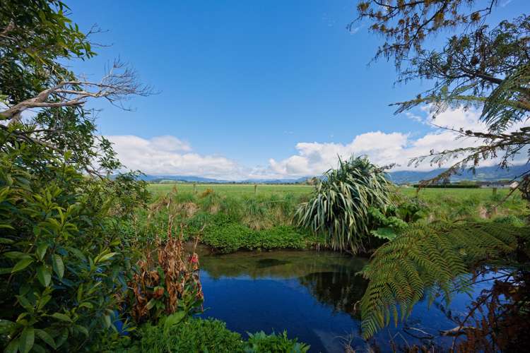 203B Beach Road Kaikoura_24