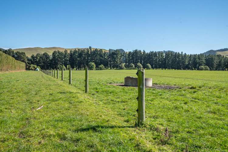 1492 Happy Valley Road Motunau_16