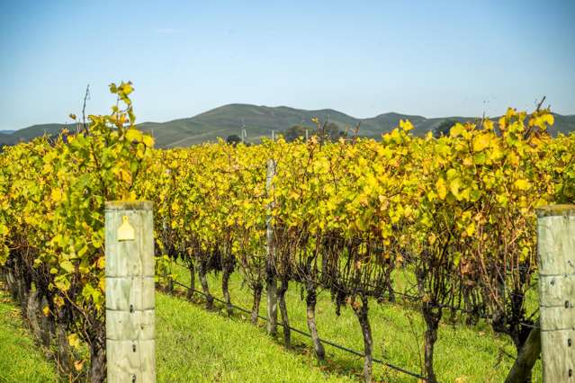 State Highway 50 Roys Hill_3