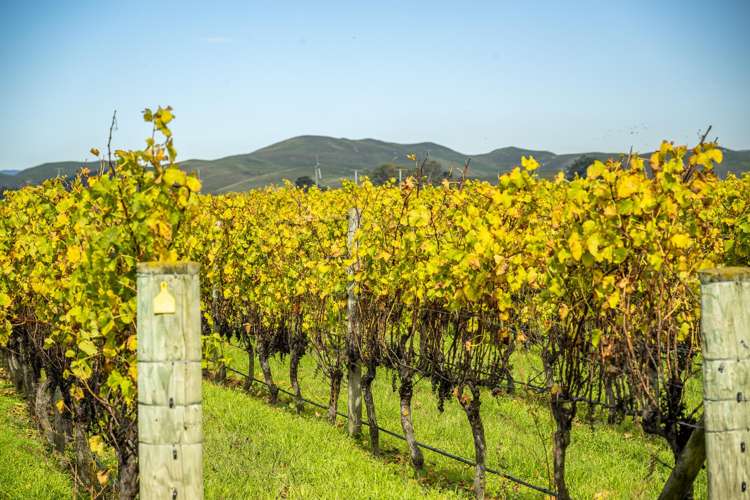 State Highway 50 Roys Hill_3