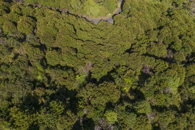 42 Radar Road Hot Water Beach_4