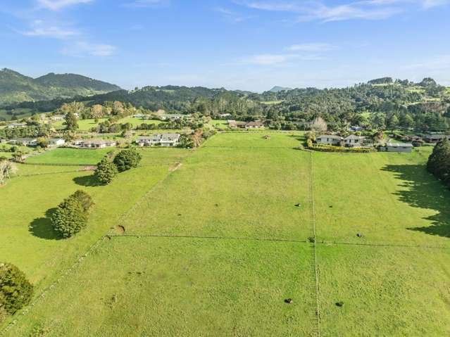 Waitaua Road Kauri_1