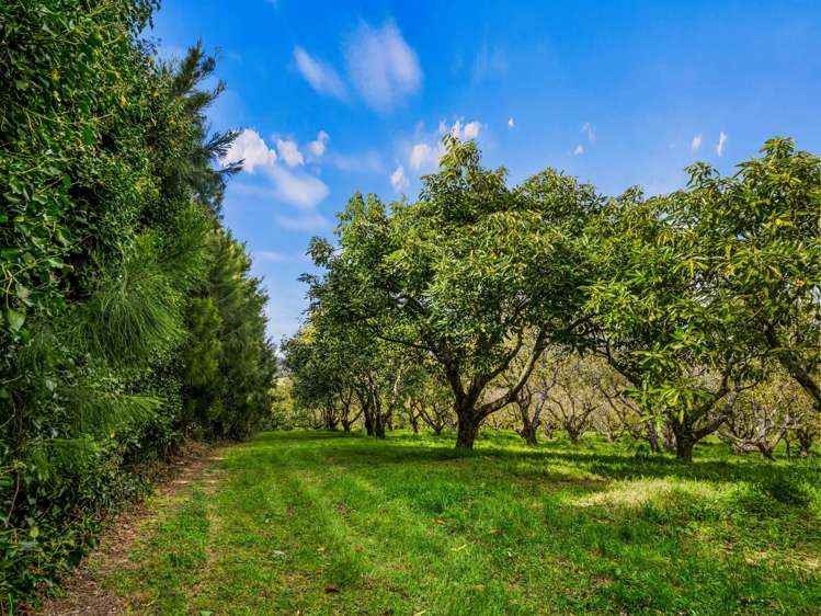 20 McLaren Falls Road Lower Kaimai_10
