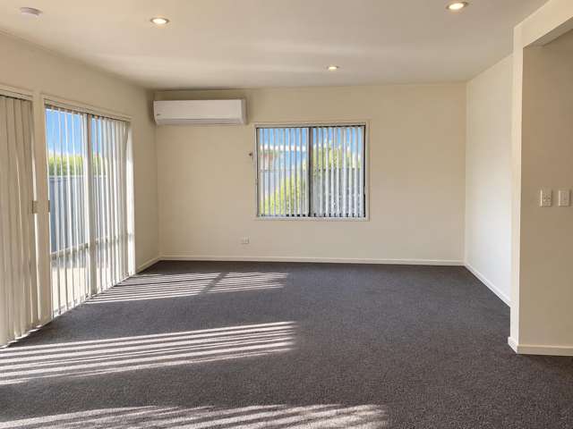 1/9 Elizabeth Street Riccarton_1