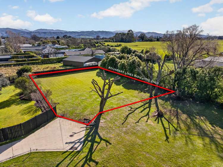 51A Jellicoe Street_0