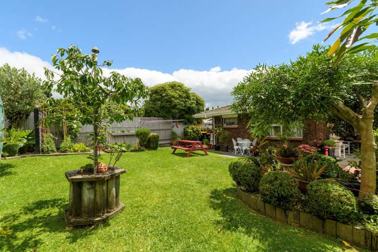 5/378 Devonport Road Tauranga South_16