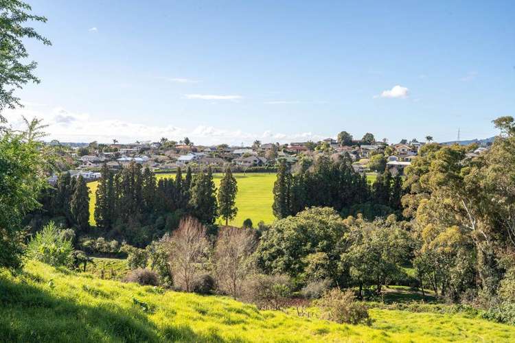 99 Carmen Way Ohauiti_19