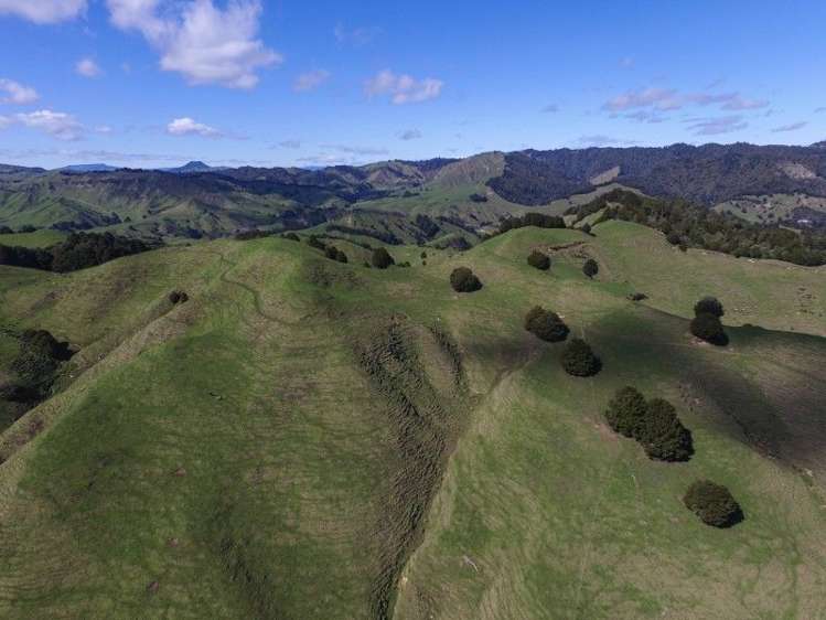 1190 Ohura Road Waimiha-Ongarue_8