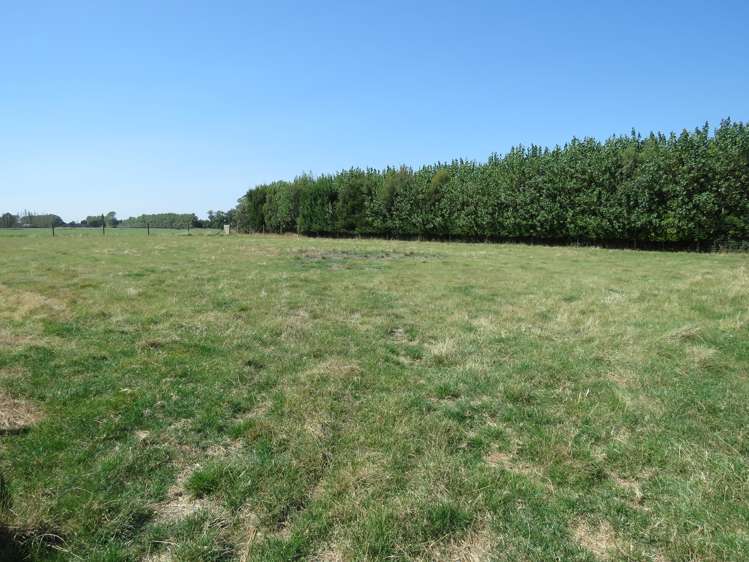 67 Beach Road Hampstead_6