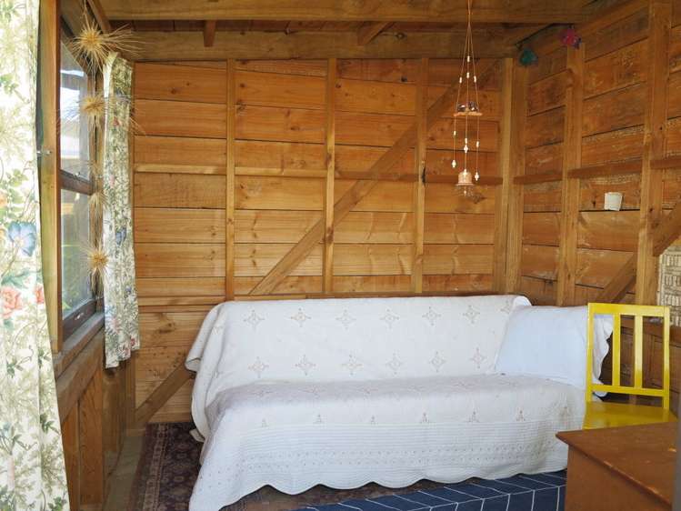 1174 Collingwood-Puponga Kahurangi National Park_14