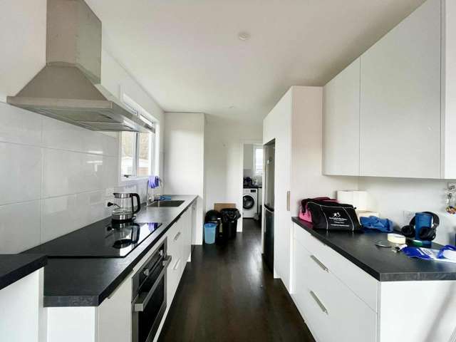 12 Karaka Street 2160_4