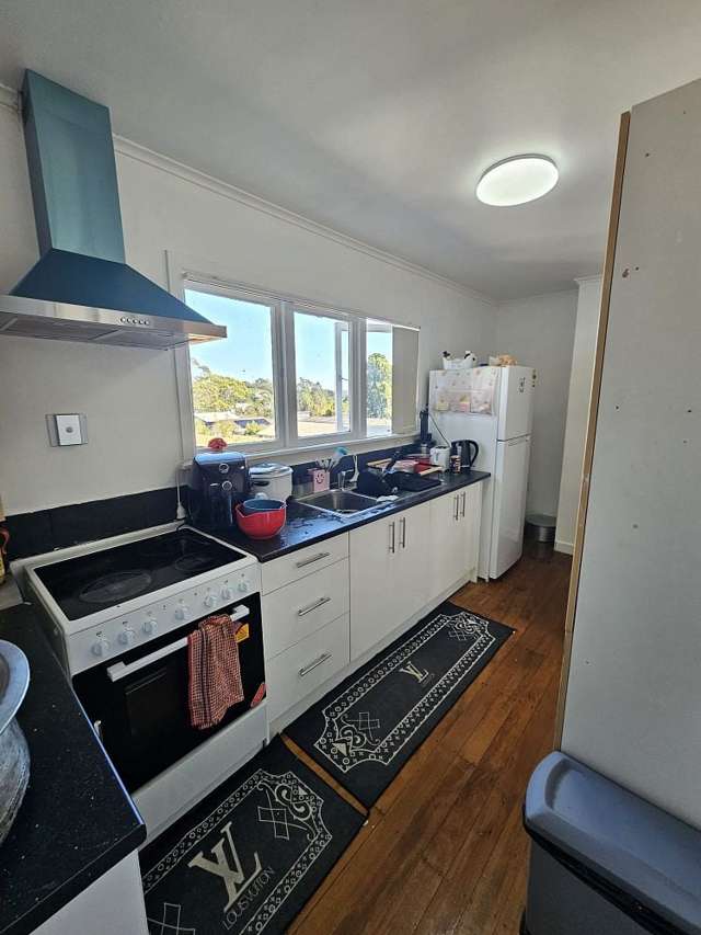 147 Rosier Road Glen Eden_3