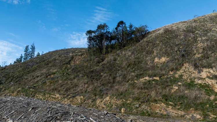 Four Rivers Highway Murchison_28