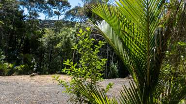 Te Akau Wharf Road_3