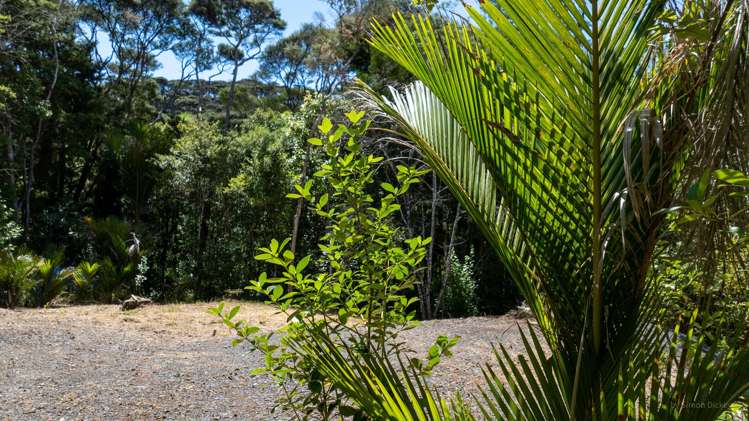 Te Akau Wharf Road Te Akau_3