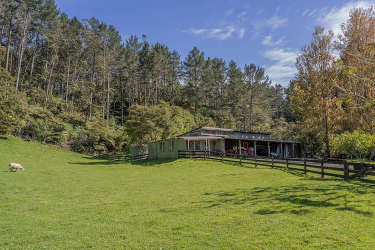 3263 SH 25 Tairua-Whitianga Rd Whitianga_48