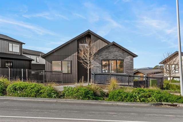 A Brand-New Family Home in Beautiful Ara Hills