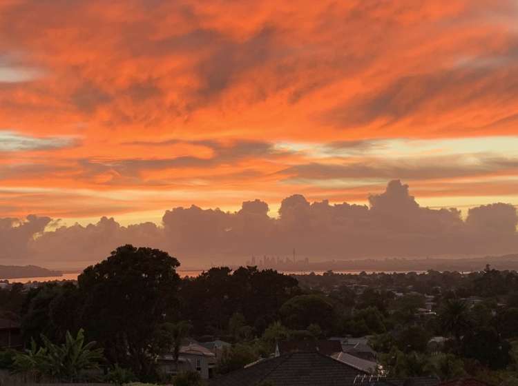 241a Royal Road Massey_6