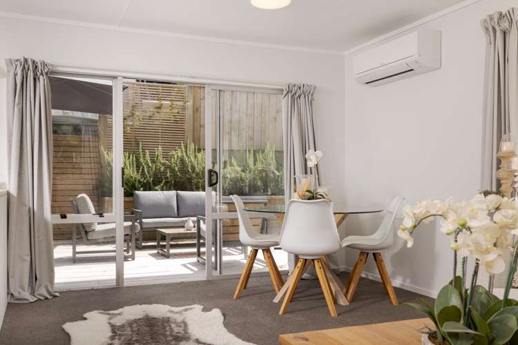 50b Westwood Street Bellevue_7