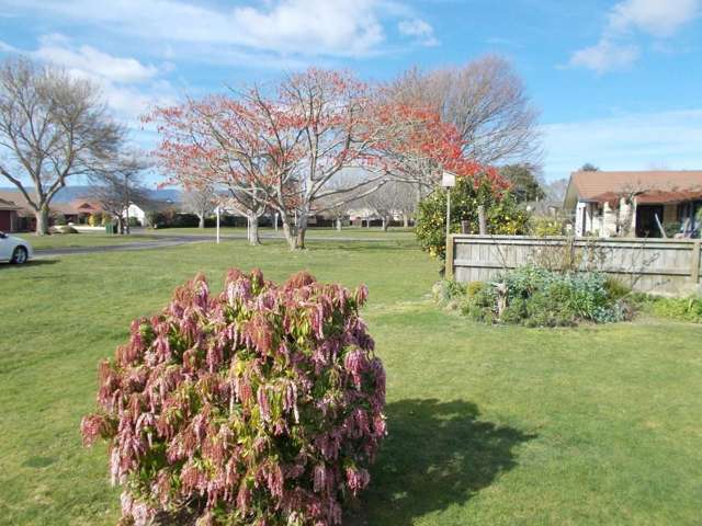 16a Cedar Crescent Matamata_1