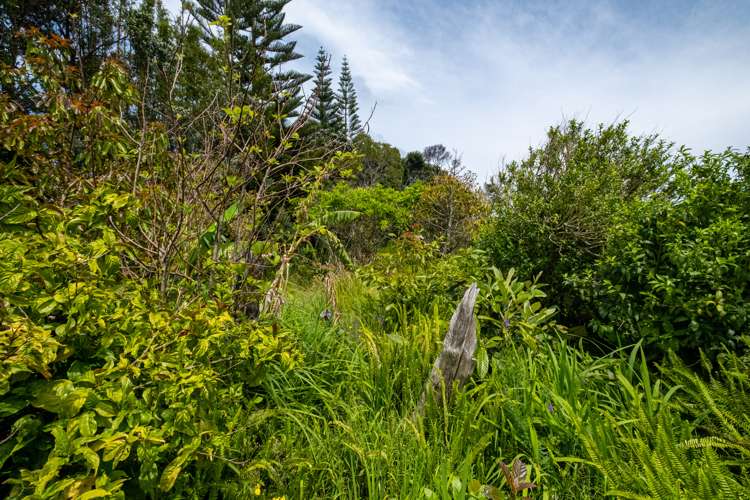 867 Kaimaumau Road Awanui_12