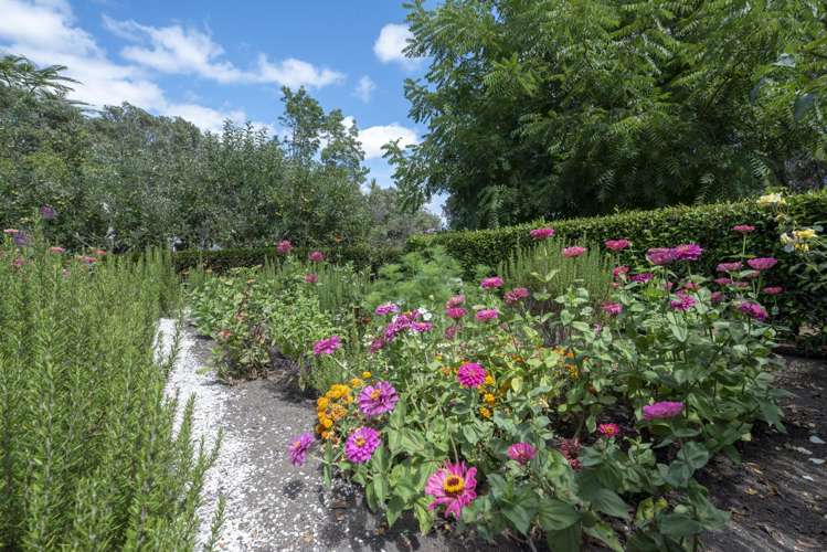 126 Lakeland Lane Pakaraka_14