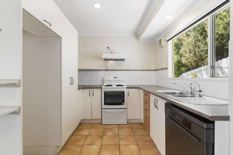 3/16 Ocean View Road Hatfields Beach_7