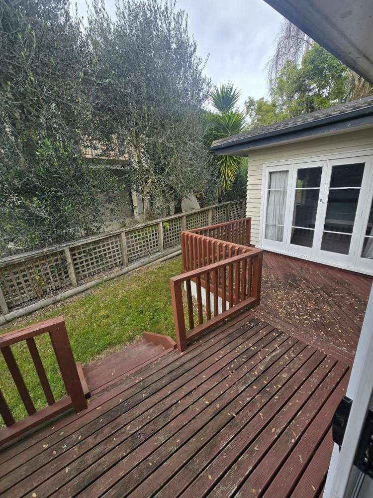 18 Alison Street 500063_25
