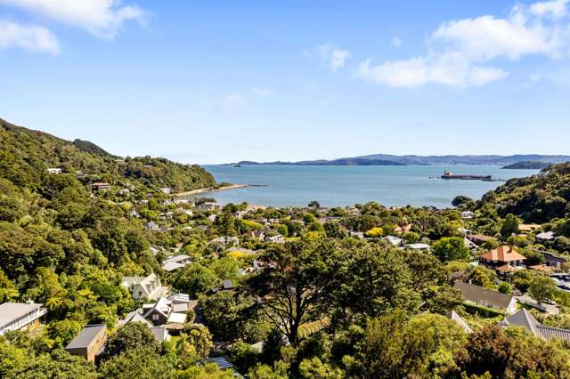 3A Whiorau Grove, Lowry Bay Eastbourne_1