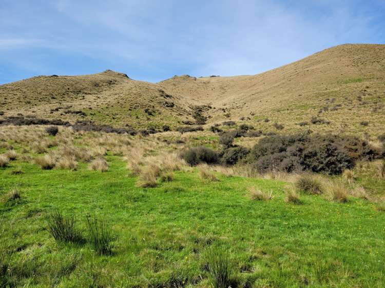 72 Wrights Road Waitaki_9