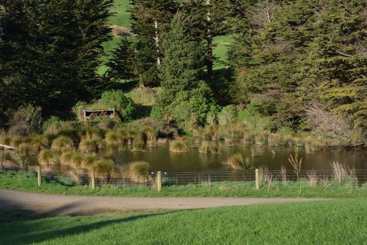 1551 Owaka Valley Road Catlins Surrounds_15