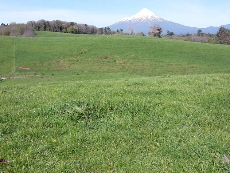 346 Rugby Road Tariki_69