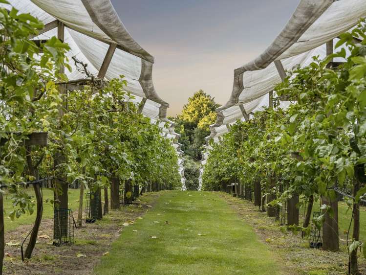 241 Rea Road Katikati_20