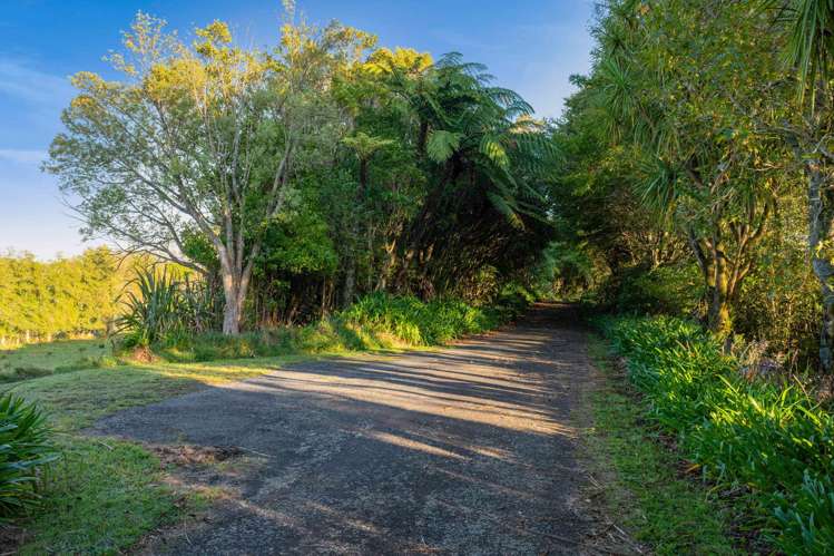 0n Umutekai Road Hillsborough_7