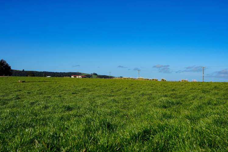 696 Jacks Hill Road Waimahaka_22