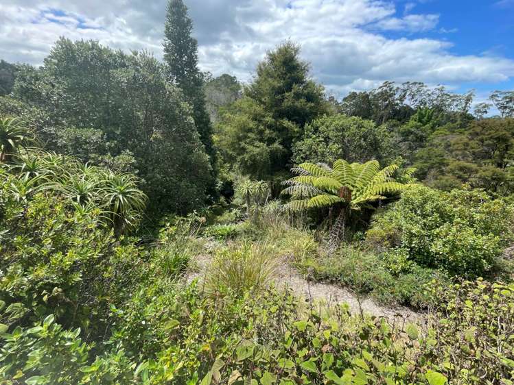 Address withheld Waipapa_14