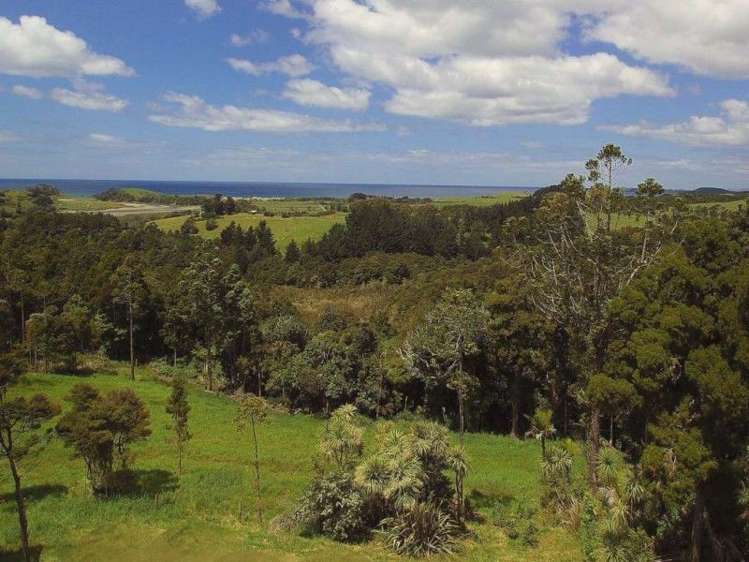 1294a Pataua North Road Pataua_5