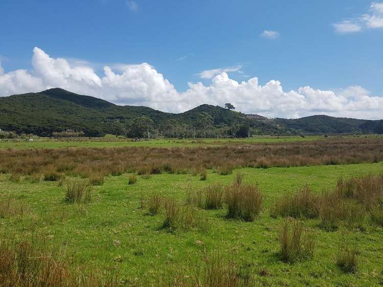 50a Mason Road Great Barrier Island (Aotea Island)_11