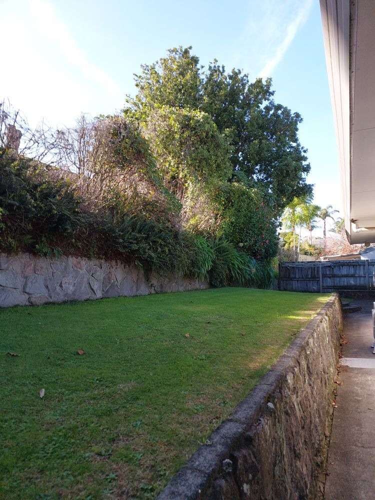 23 Pah Street Matua_13