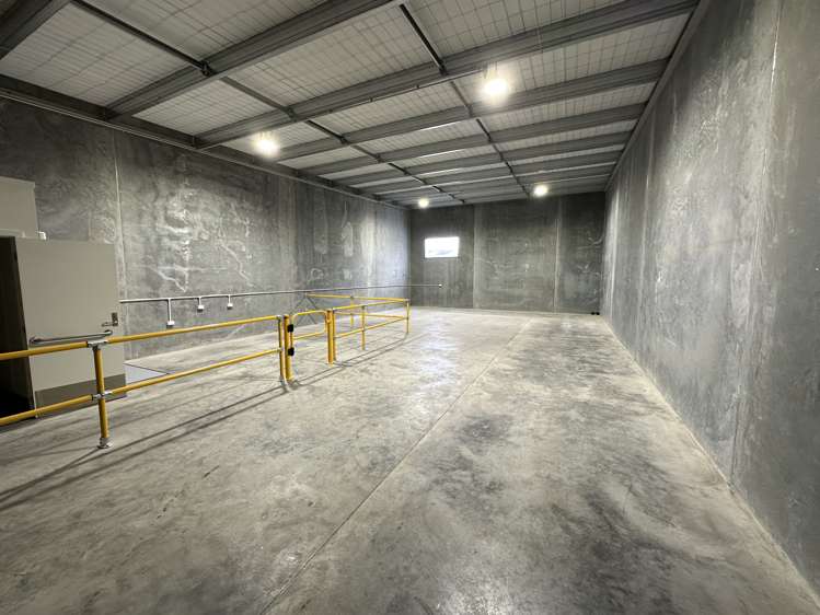 7/11 Hamilton Place Onekawa_3