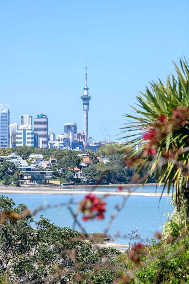 26 Pine Ridge Terrace Hauraki_8