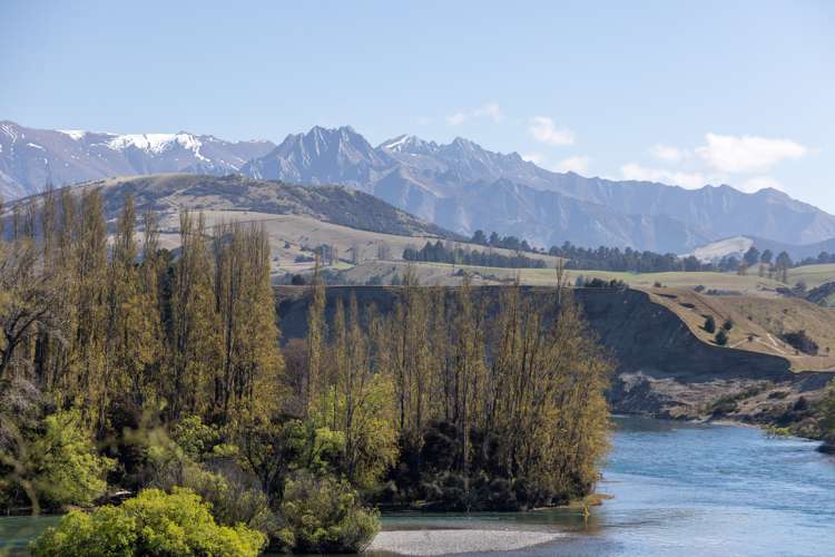 52 Alison Avenue Albert Town_7